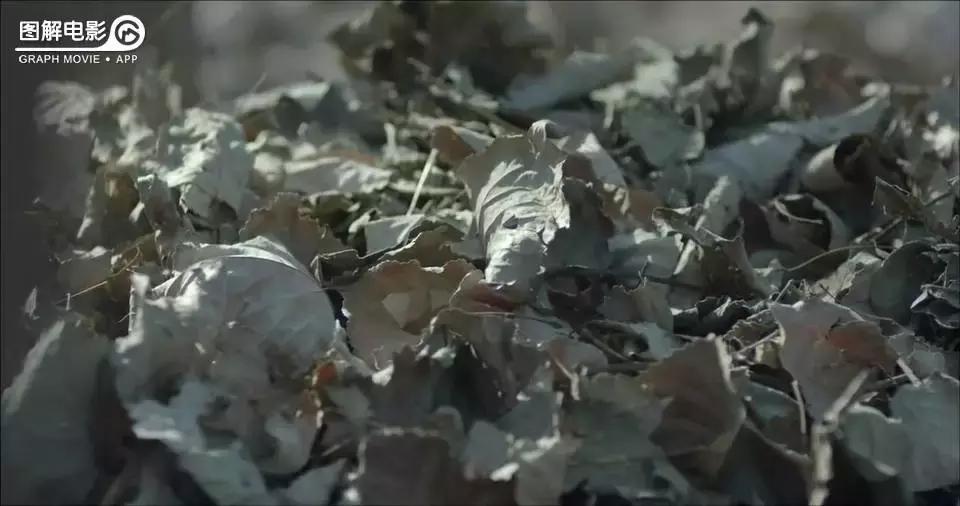 无心法师第一部免费版合集,无心法师第1部