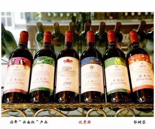 想学电商带货,想学电商去代运营公司可以学到吗