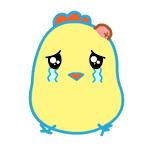 合肥9区的顶级学区,合肥市学区房价格