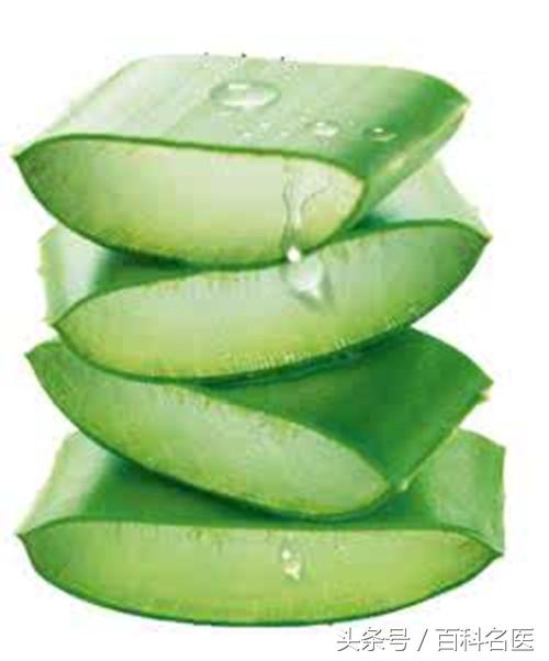 都不知道的芦荟妙用,芦荟的用途和好处快来看一看