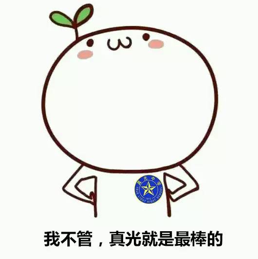 真光学校和真光中学有什么不同,真光中学简介