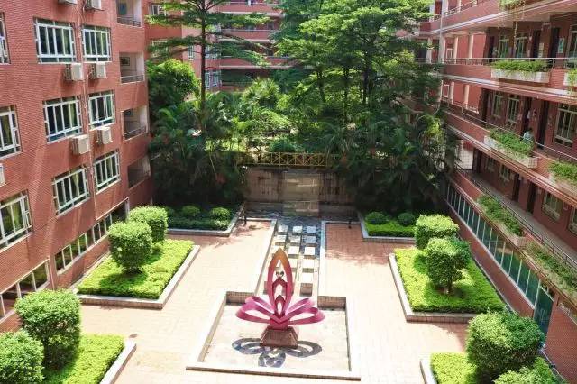 真光学校和真光中学有什么不同,真光中学简介