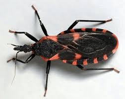 fda最新消化用药,fda已经批准达芬奇机器人手术系统