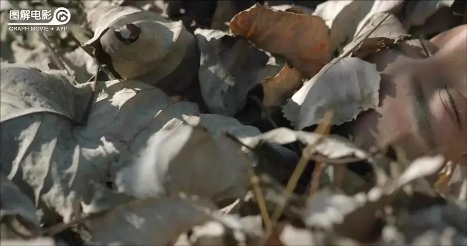 无心法师第一部免费版合集,无心法师第1部