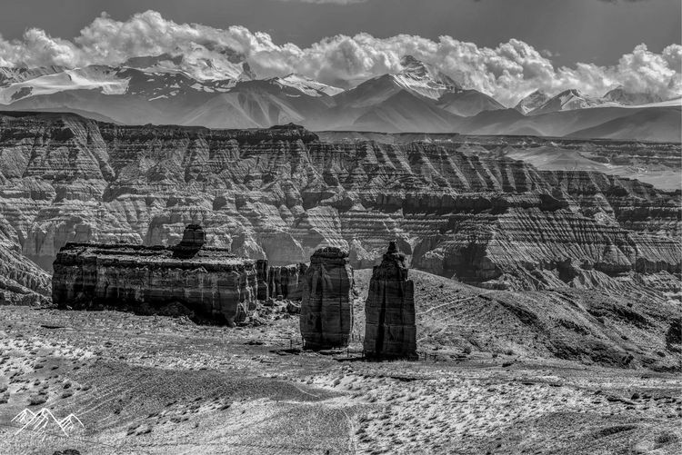 在最美的时光遇见你散文,在最美的时光遇见最美的你