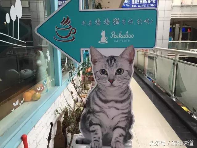 满足你满满的少女心,满足你所有少女心