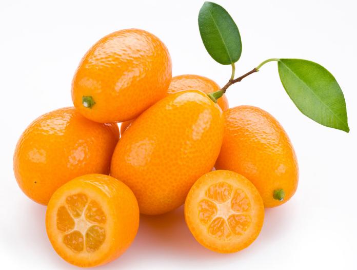 百分之99的人都分不清,百分之99的人都分不清东南西北