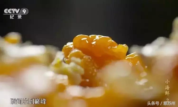 舌尖上的中国之麻辣小海鲜,舌尖上的中国小海鲜