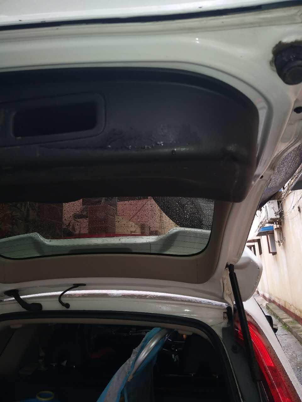 为什么在牛的身上打洞,牛为什么要在身上打洞