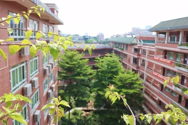 真光学校和真光中学有什么不同,真光中学简介