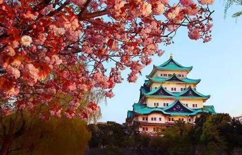 名古屋有哪二个机场,名古屋机场京都屋旅游攻略