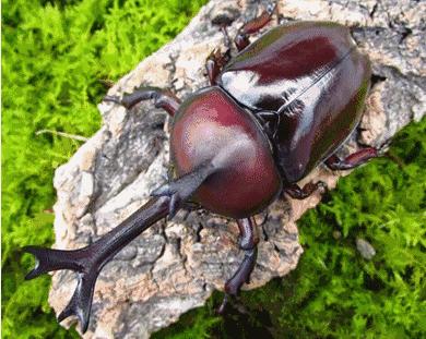 哎哟不错哦！杭州当下展览大集合，卖萌惊艳统统有！