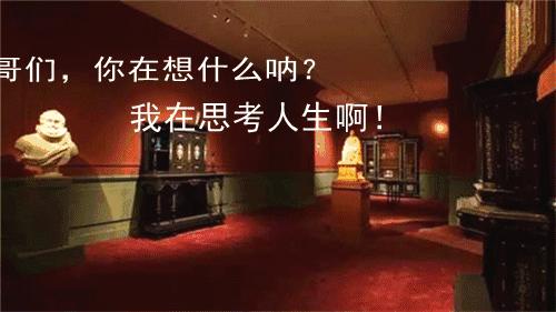 哎哟不错哦！杭州当下展览大集合，卖萌惊艳统统有！