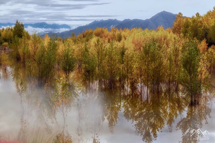 在最美的时光遇见你散文,在最美的时光遇见最美的你