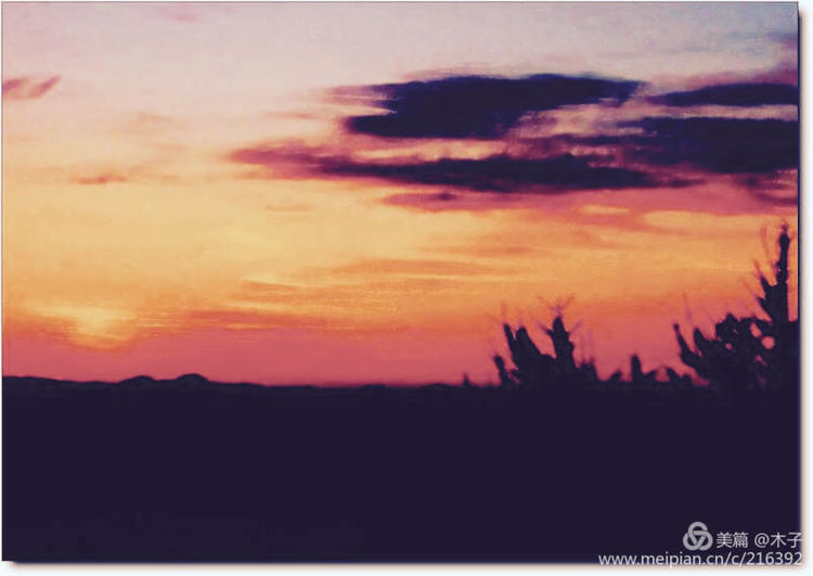 一花一叶总关情，一辆单车游古城，美哉正定！