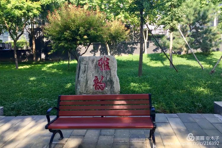 一花一叶总关情，一辆单车游古城，美哉正定！