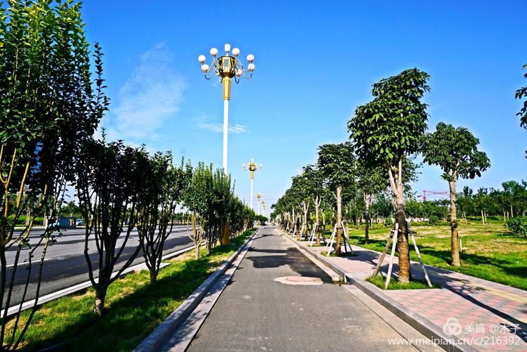 一花一叶总关情，一辆单车游古城，美哉正定！