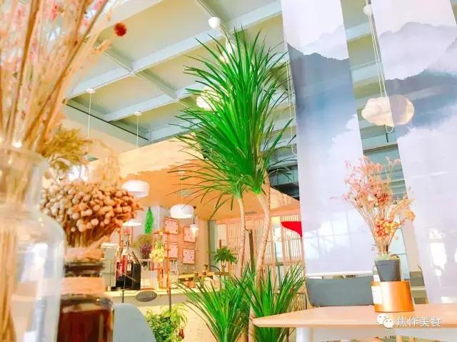 探店豆子,探店100家咖啡