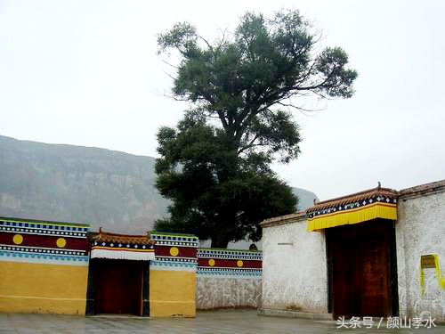 经验青藏高原之2——循化三章