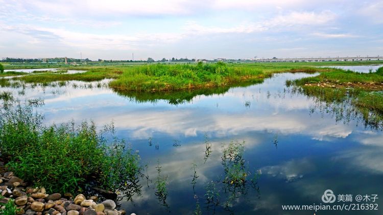 一花一叶总关情，一辆单车游古城，美哉正定！