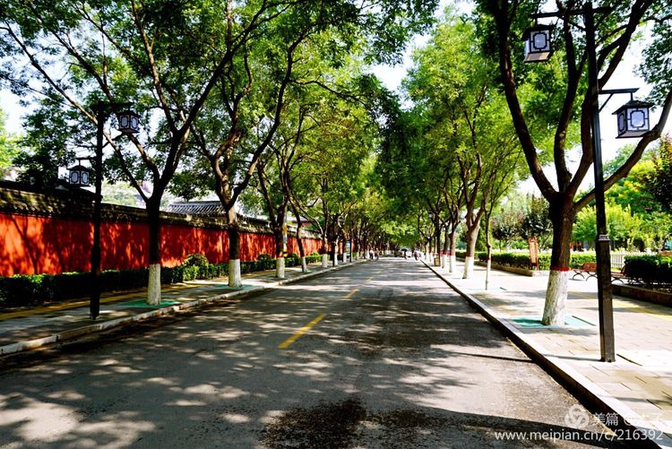 一花一叶总关情，一辆单车游古城，美哉正定！