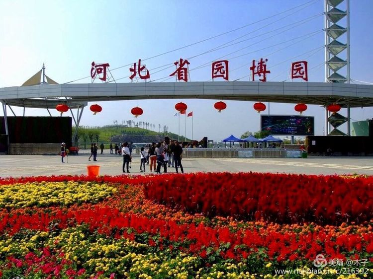 一花一叶总关情，一辆单车游古城，美哉正定！