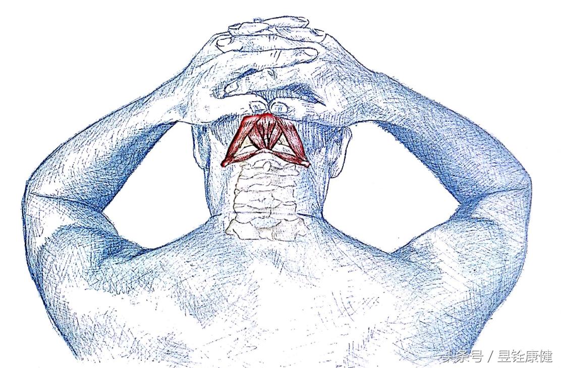 颈椎病可以通过运动拉伸治好吗,颈椎病双手交叉放脑后拉伸