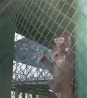 爱美有风险,贴膜需谨慎