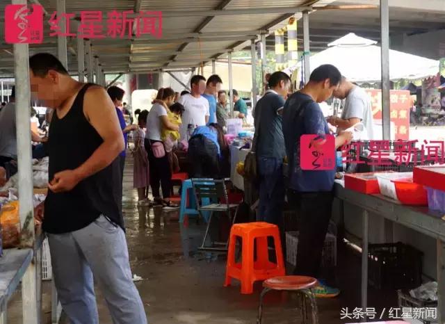 真相调查：文玩核桃再步玛卡后尘？从几万元一对到5元没人要？