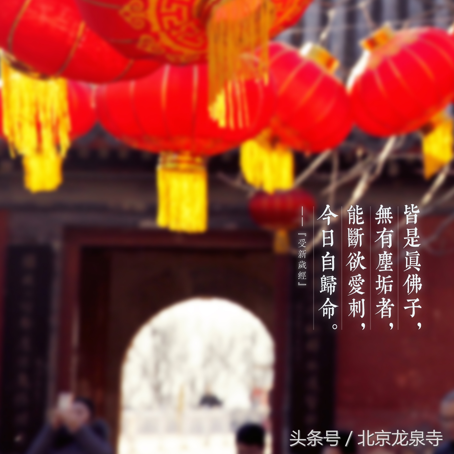 佛陀最笨的弟子,佛陀是怎么悟道成佛