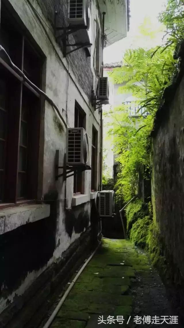 梁中与红中曾合校办学多年~两校原是亲生血缘关系