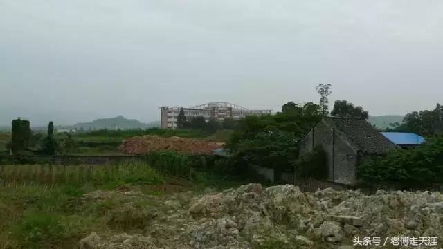 梁中与红中曾合校办学多年~两校原是亲生血缘关系