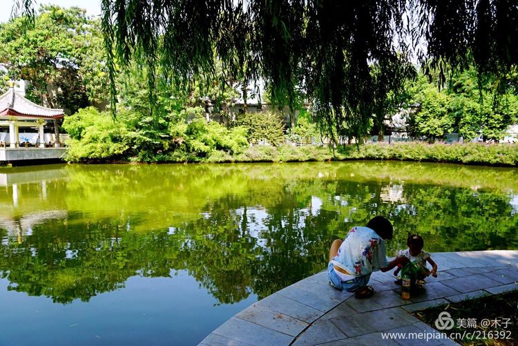 一花一叶总关情，一辆单车游古城，美哉正定！