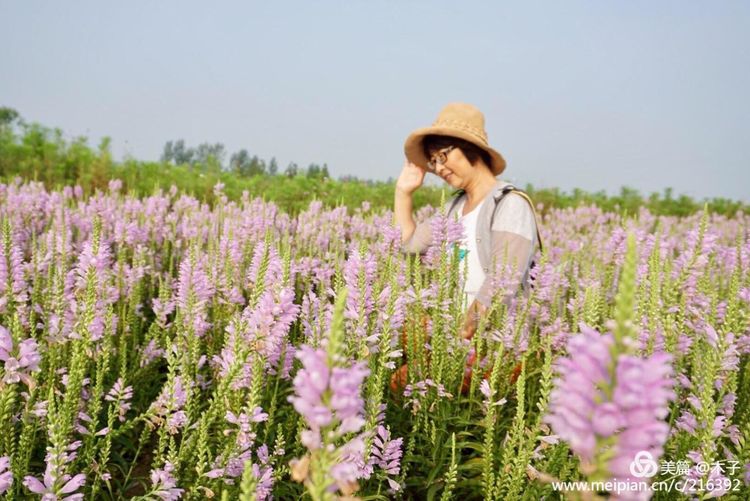 一花一叶总关情，一辆单车游古城，美哉正定！