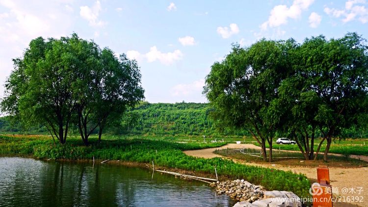 一花一叶总关情，一辆单车游古城，美哉正定！