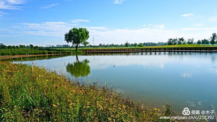 一花一叶总关情，一辆单车游古城，美哉正定！