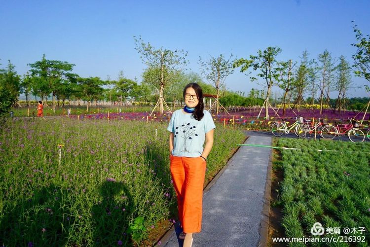 一花一叶总关情，一辆单车游古城，美哉正定！