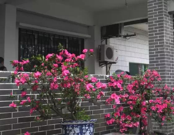 南岸区适合游玩的乡村,南岸乡村旅游