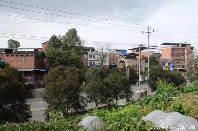 梁中与红中曾合校办学多年~两校原是亲生血缘关系