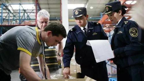 入境海关申报应该关注哪些事项,去澳洲过海关什么物品需要申报