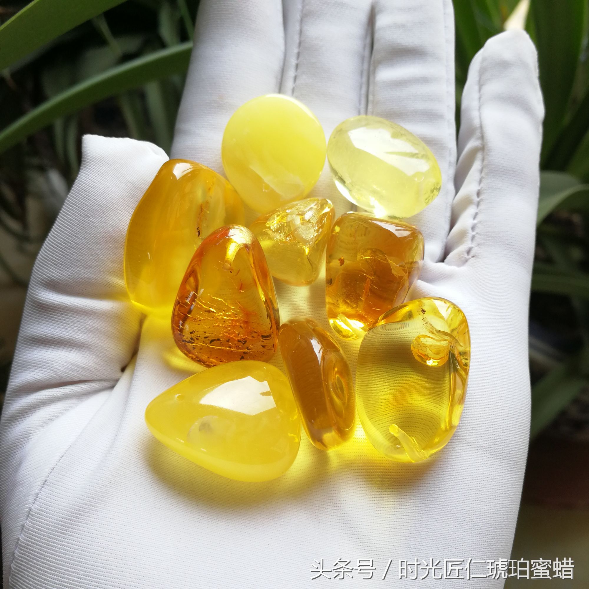 怎么区别蜜蜡和树脂,怎么区分琥珀和树脂