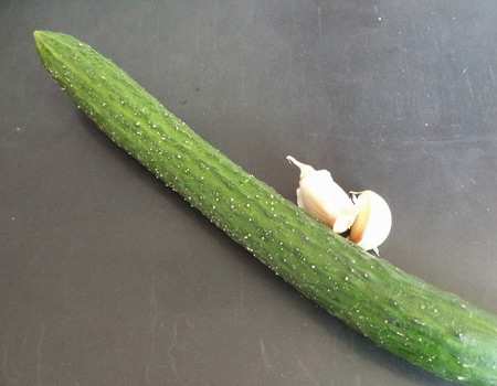 凉拌拍黄瓜最好吃的做法,好吃又简单的凉拌黄瓜