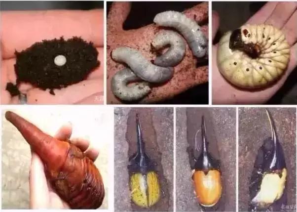 开学前最后一次狂欢,开学前最后一期视频