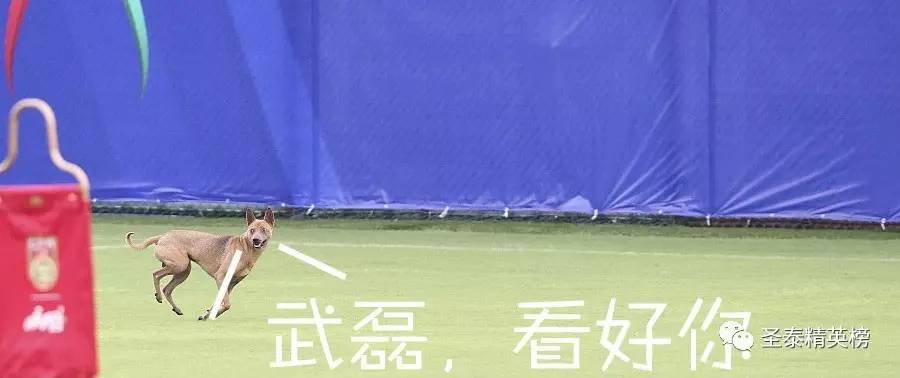 里皮观战世预赛,里皮封神之战