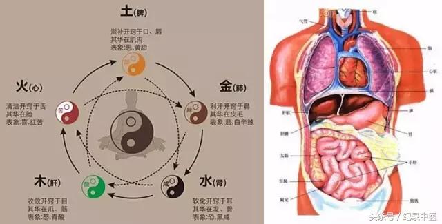 中医在国外开店,美国中医金鸣