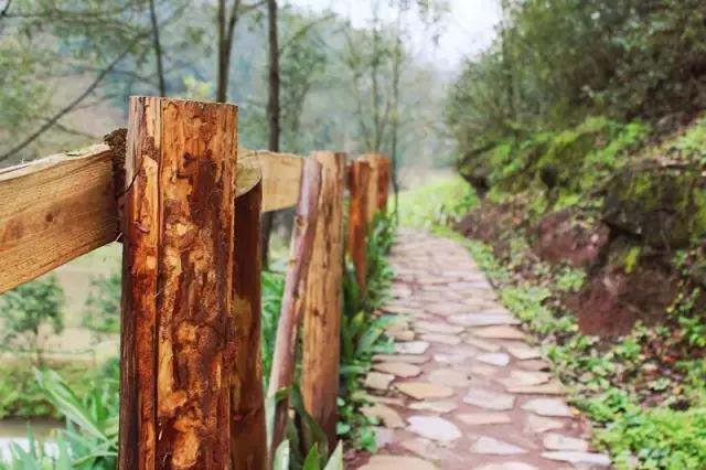南岸区适合游玩的乡村,南岸乡村旅游