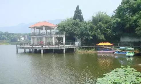 南岸区适合游玩的乡村,南岸乡村旅游