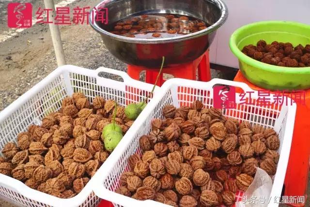 真相调查：文玩核桃再步玛卡后尘？从几万元一对到5元没人要？