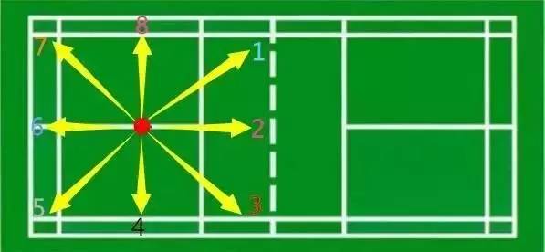 打羽毛球需要进行哪些体能训练,少儿羽毛球体能基本训练方法