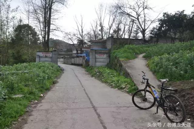 梁中与红中曾合校办学多年~两校原是亲生血缘关系